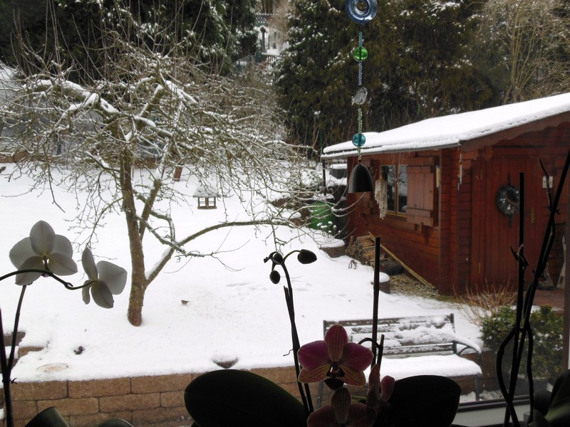 0001 DSCN0015 Don's Back Lawn Garden