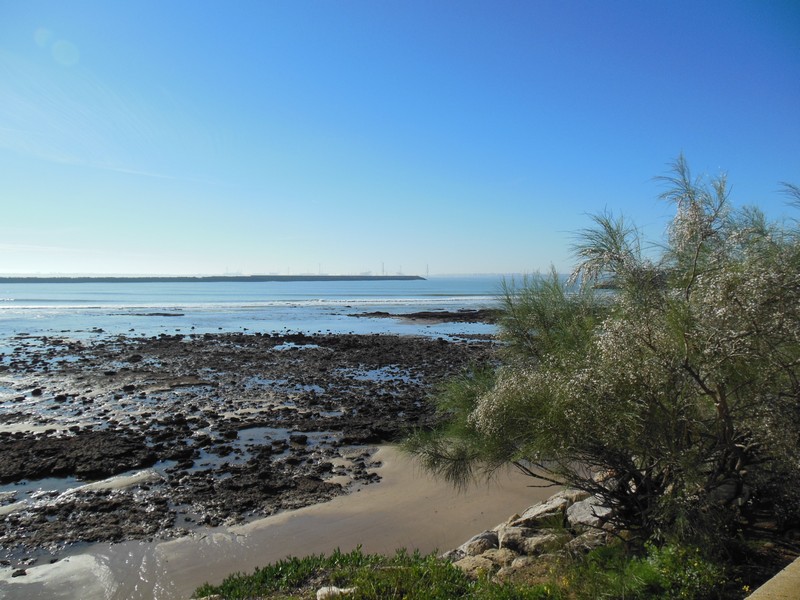 0051 DSCN0066 Beach Santa Maria