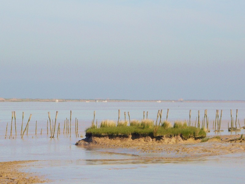 0093 P1170981 Rio Guadalquivil