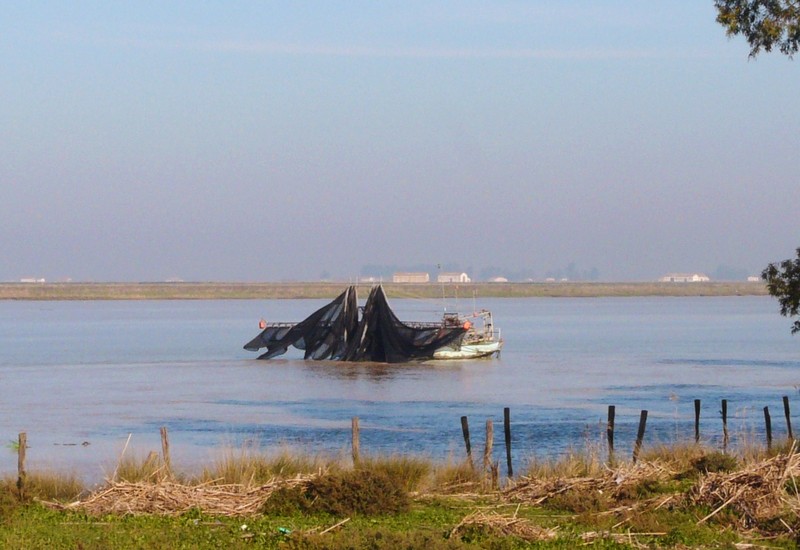 0117 P1170997 Fishing Boat Rio Guadalquivil