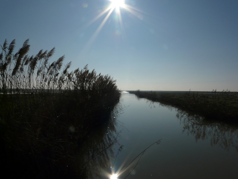 0121 P1170999 Canal  Road to Dos Hermanas