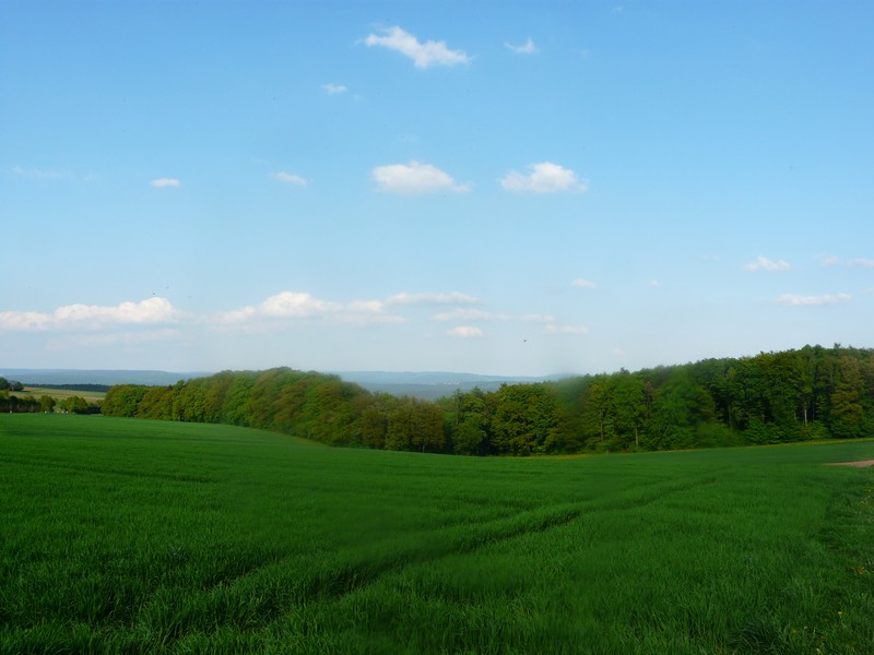 013 L�tz Limes Cam Smudged