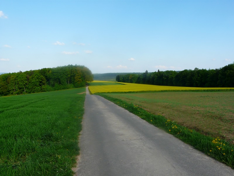 014 L�tz Limes Cam Smudged