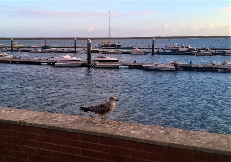 014 Olhao marina