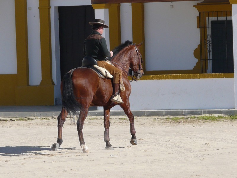 0253 P1190019 El Rocio