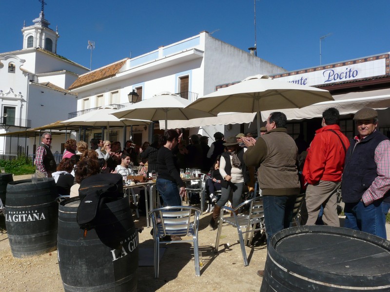 0255 P1190021 El Rocio