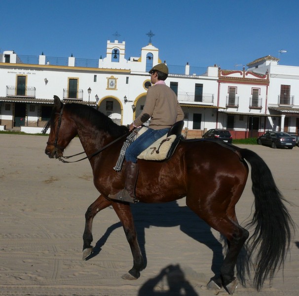 0264 P1190027 El Rocio