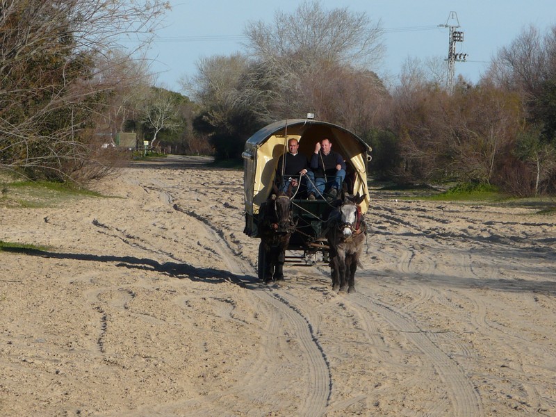 0275 P1190036 El Rocio
