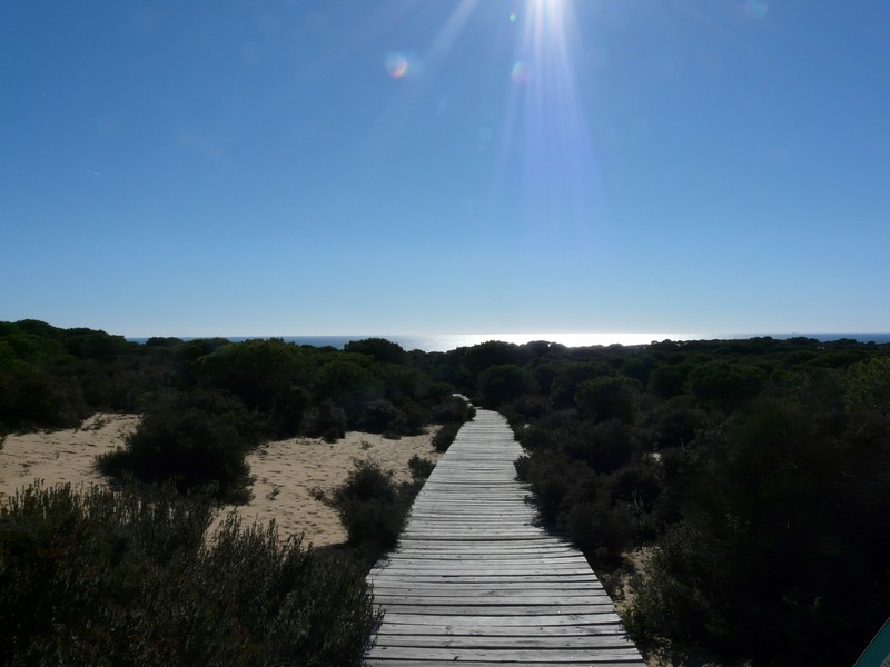 0299 P1190057 Duna del Asperillo