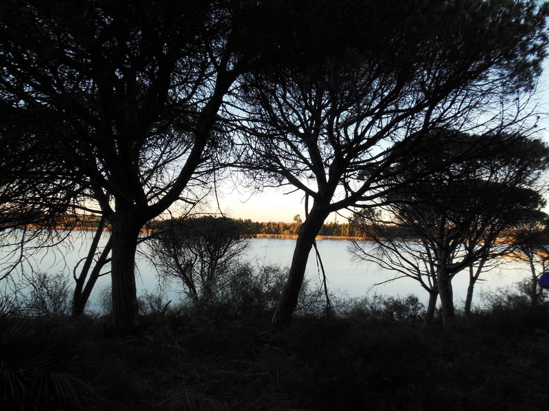 0305 DSCN0181 Pi�eros Lake Camp Huelva