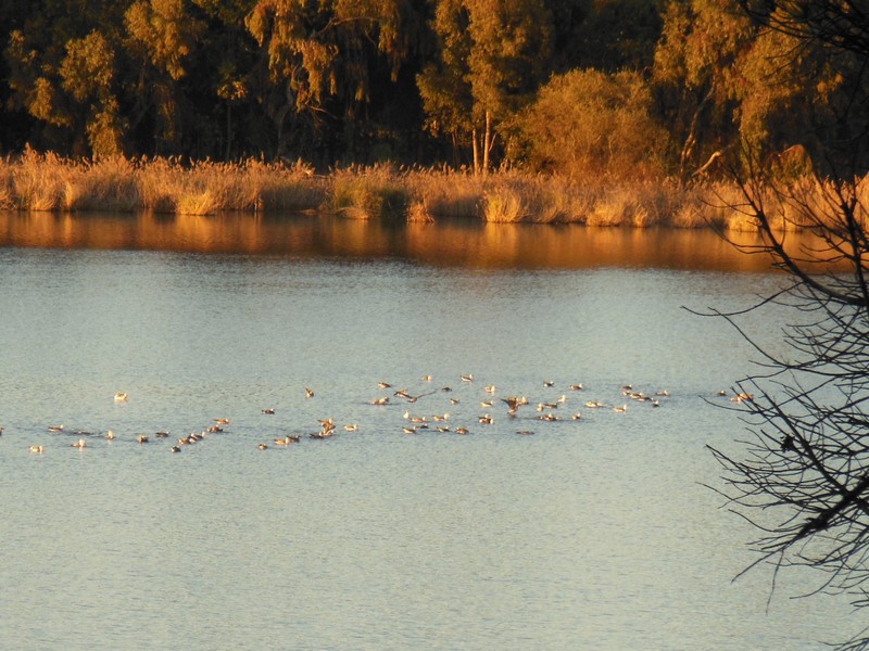 0312 DSCN0182 Camp Huelva