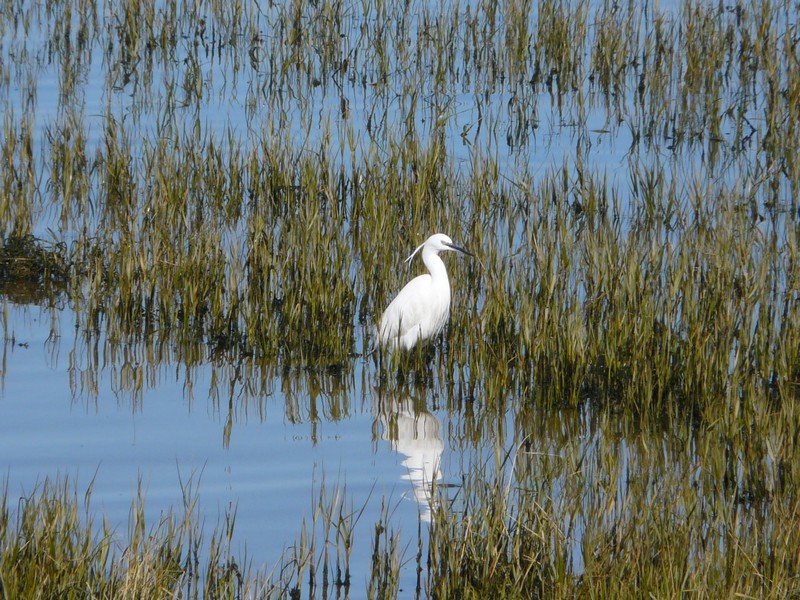 0320 P1190078 Huelva