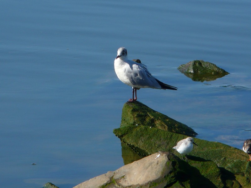 0322 P1190082 Huelva