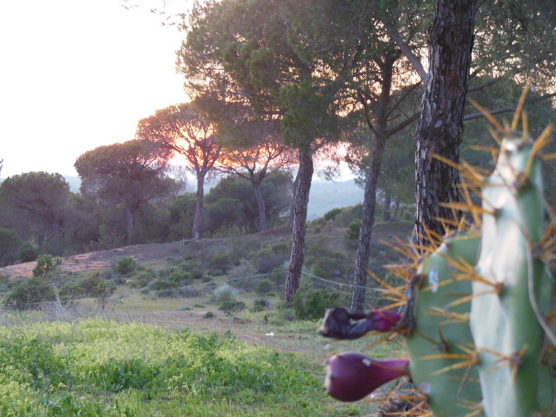 0327 DSCN0189 Camp Rudi