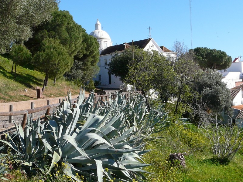 0369 P1190136 Castro Marim Portugal