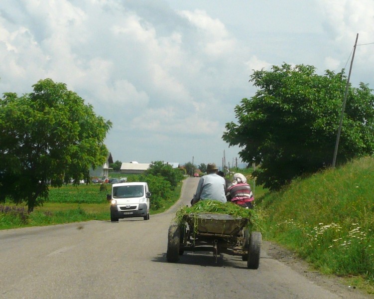 03 P1210035 Road to Probota
