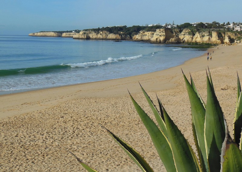 0420 DSCN0213-1 Beach Armacao de Pera