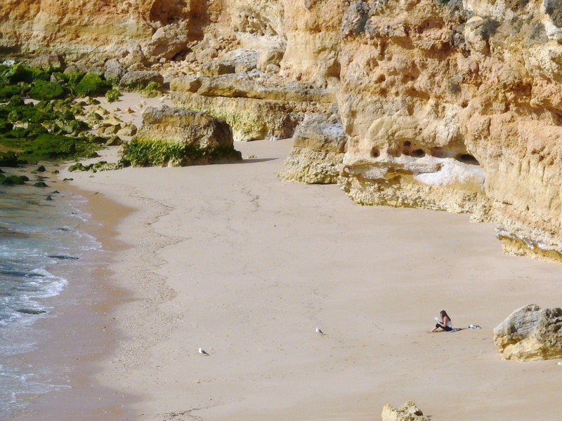 0436 P1190177 Girl reading Armacao de Pera