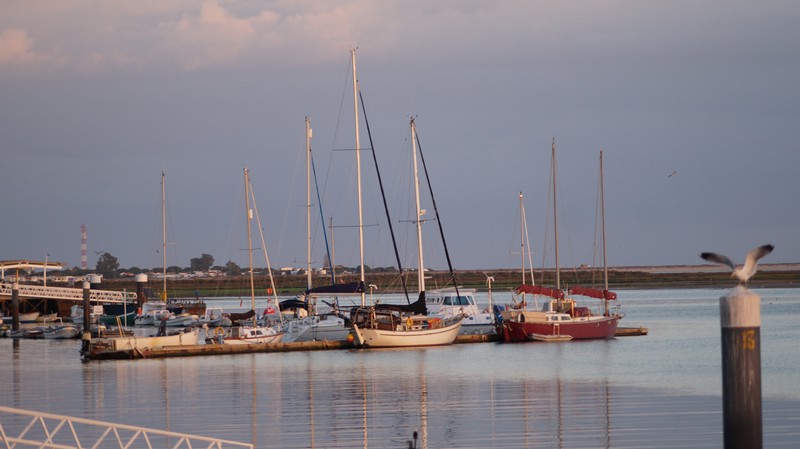 043 Olhao boats