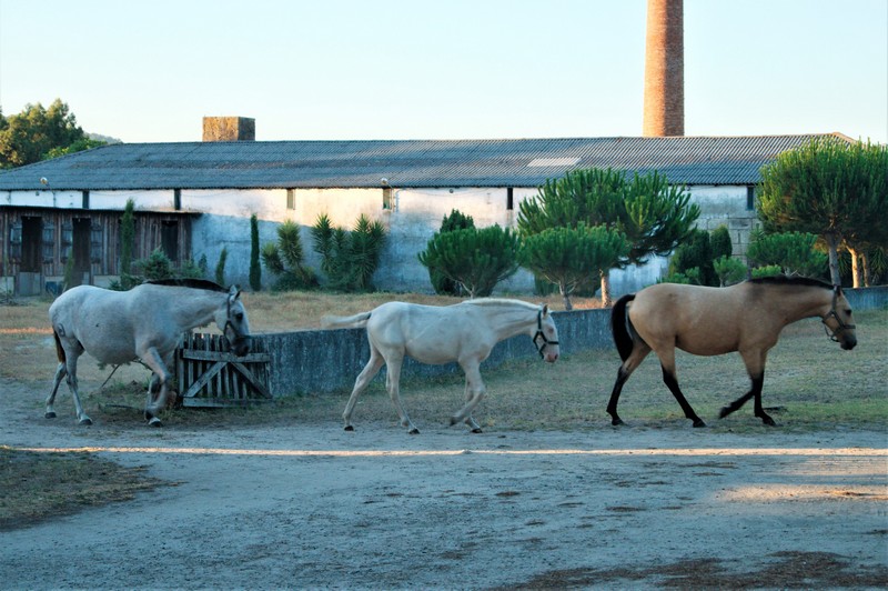 043 Pto-Spain DSC02738_1