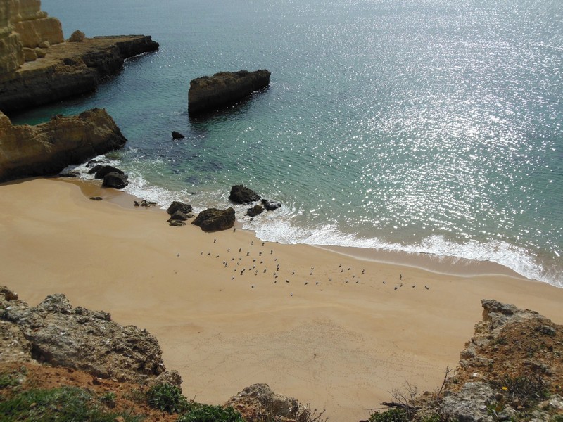 0446 DSCN0226 Coast Armacao de Pera