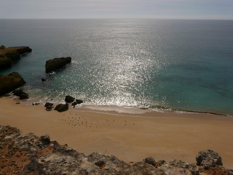 0459 P1190194 Armacao de Pera Coast