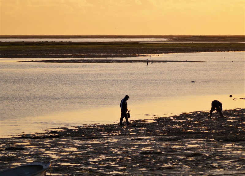 049 Olhao Sunset