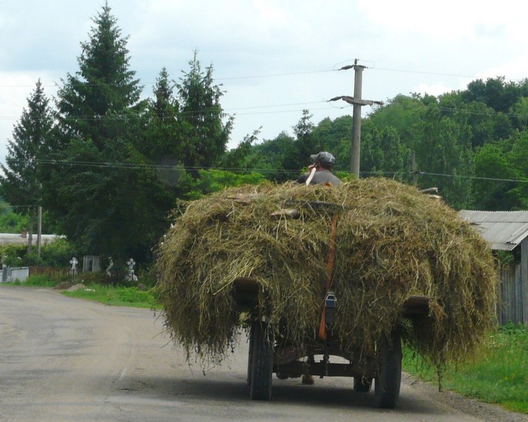 04 P1210037 Hay Wagon Road to Probota