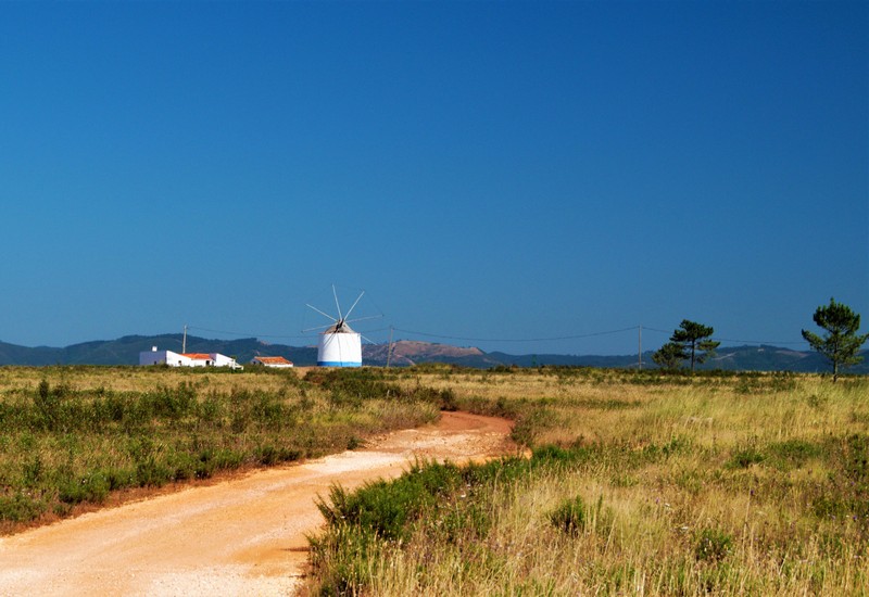 053 Windmill DSC02297_1