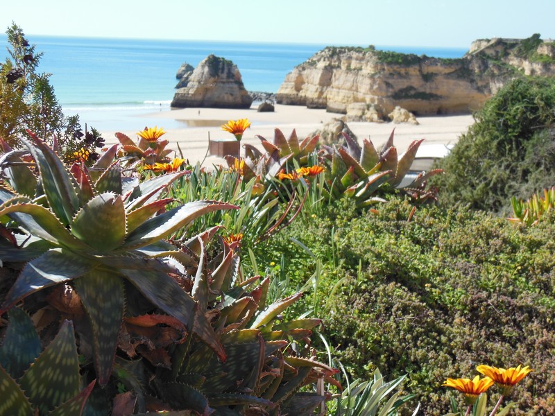 0737 DSCN0385 Portimao Praia da Rocha