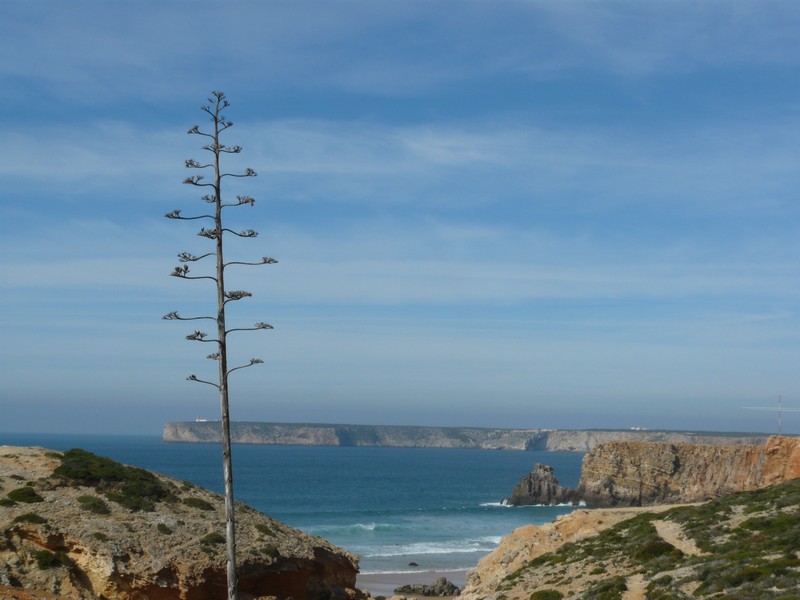 0837 P1190449 Sagres