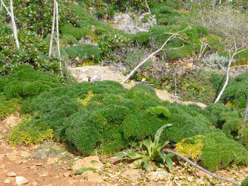 0883 P1190475 Sagres