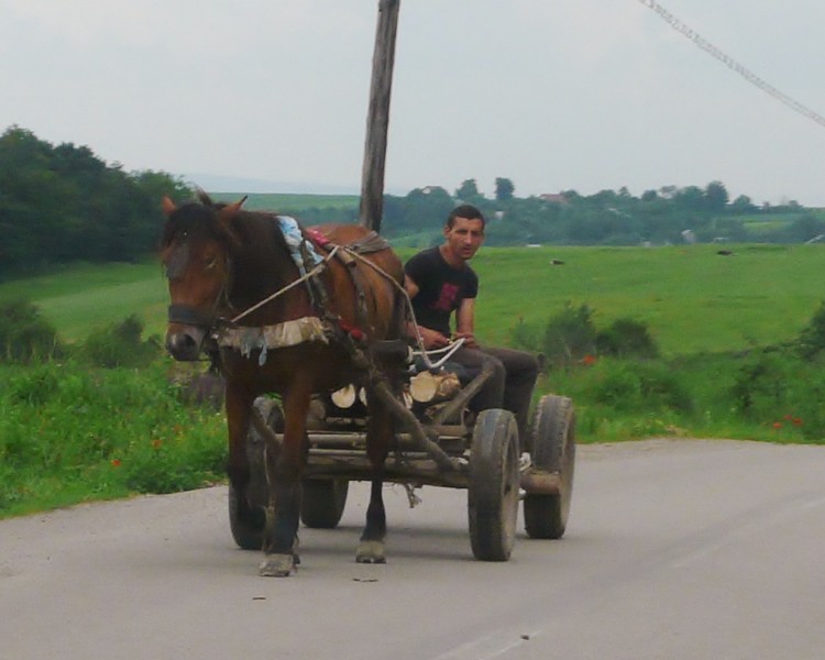 08 P1210043 Road to Probota