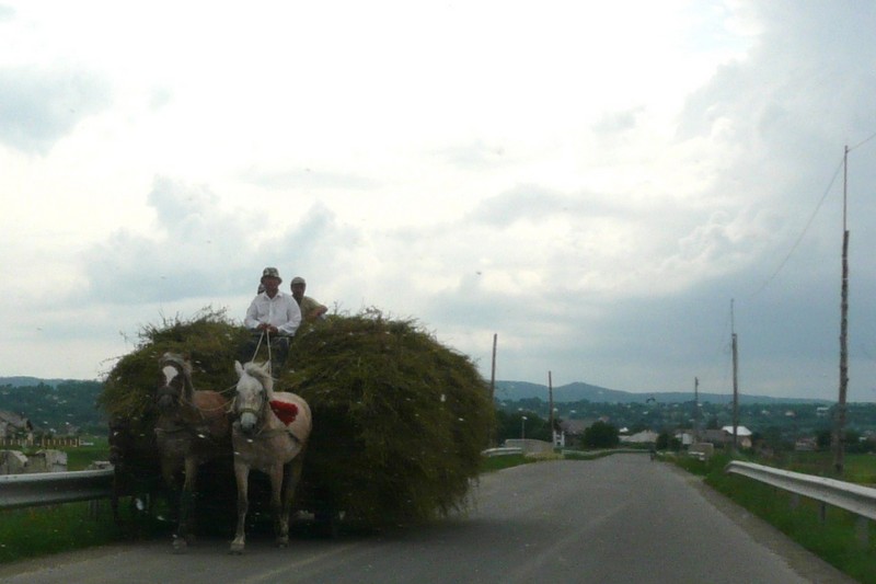 08a P1210091 Road to Roman