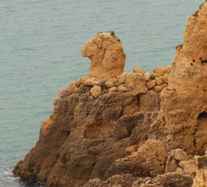 0950 DSCN0517-1 Lagos Coast Sheepshead