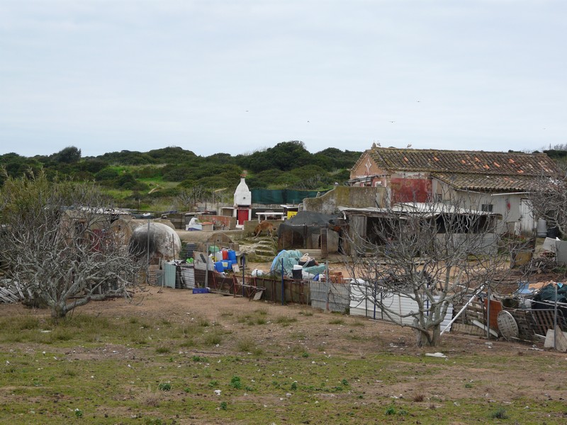 0960 P1190523 Lagos farm