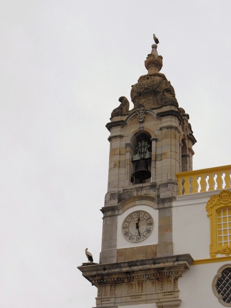 0970 DSCN0528 Faro Cathedral