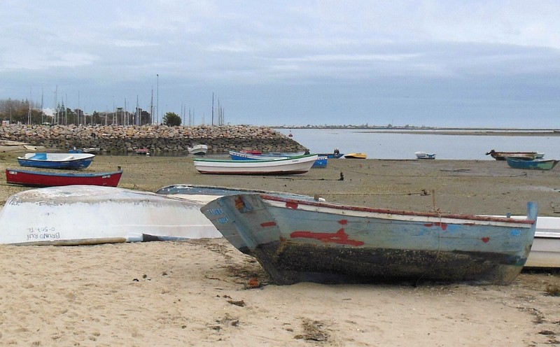 0992 DSCN0540-1 Olhao
