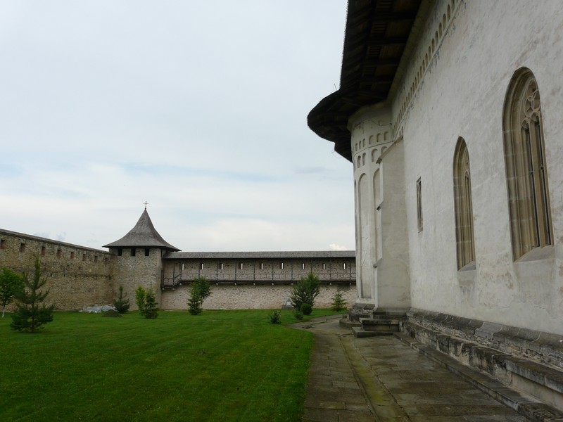 30b P1210087 Probota