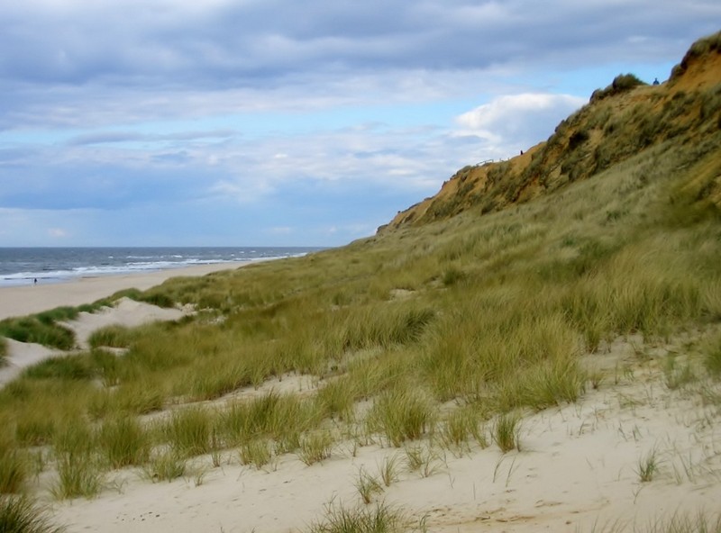 7966 Sylt