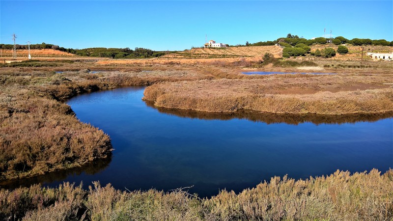 83e National Park on the way to Isla Cristina