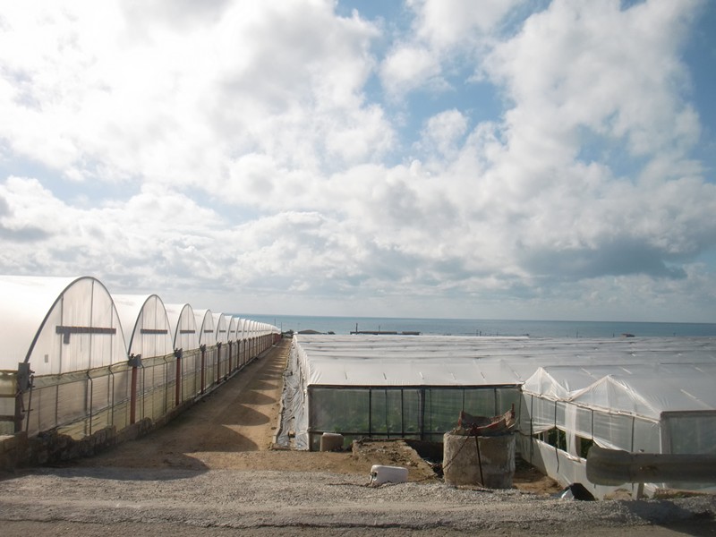 CIMG0329 Greenhouse near Pozallo