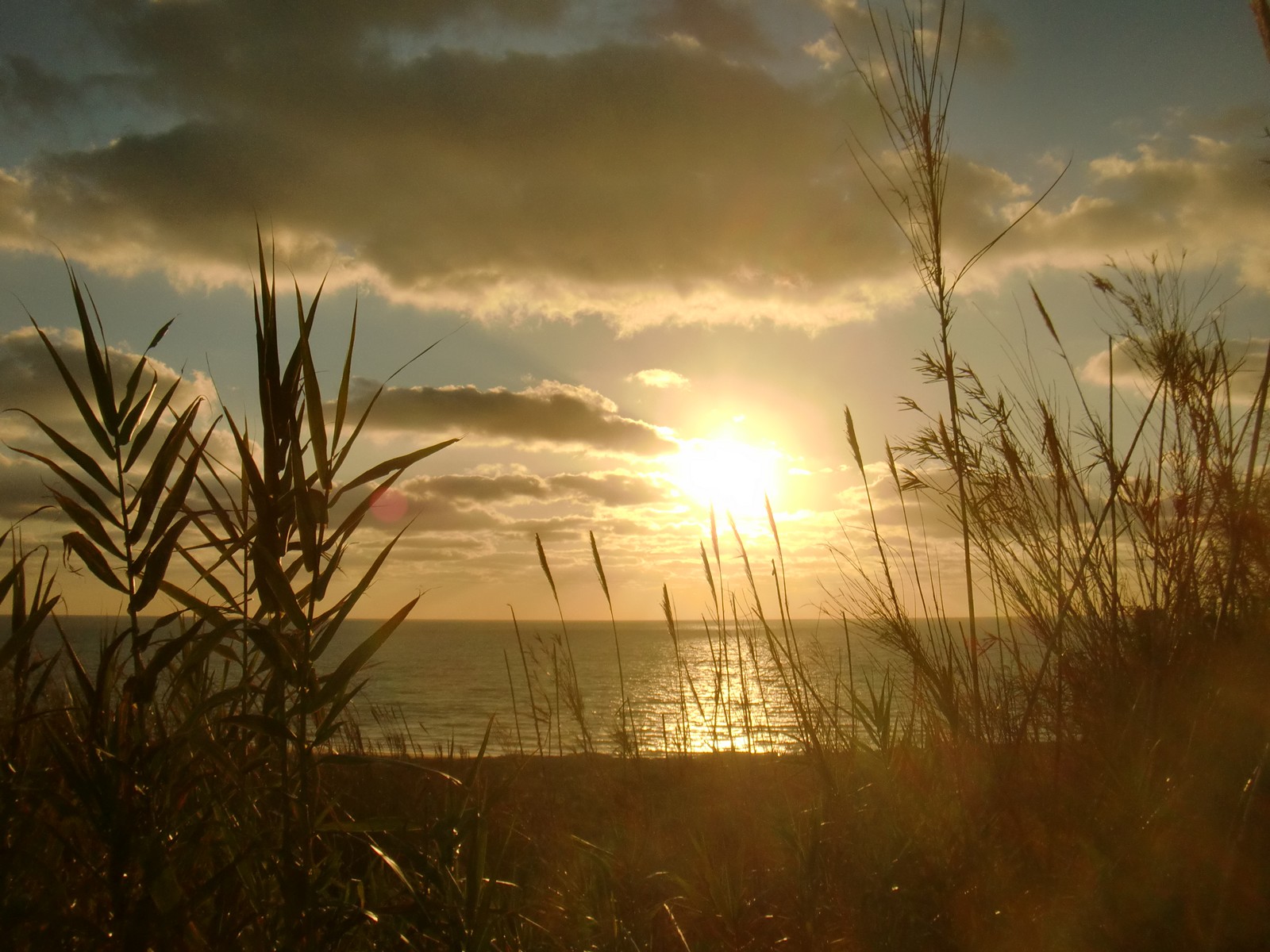 CIMG0339 Camp Pozzallo