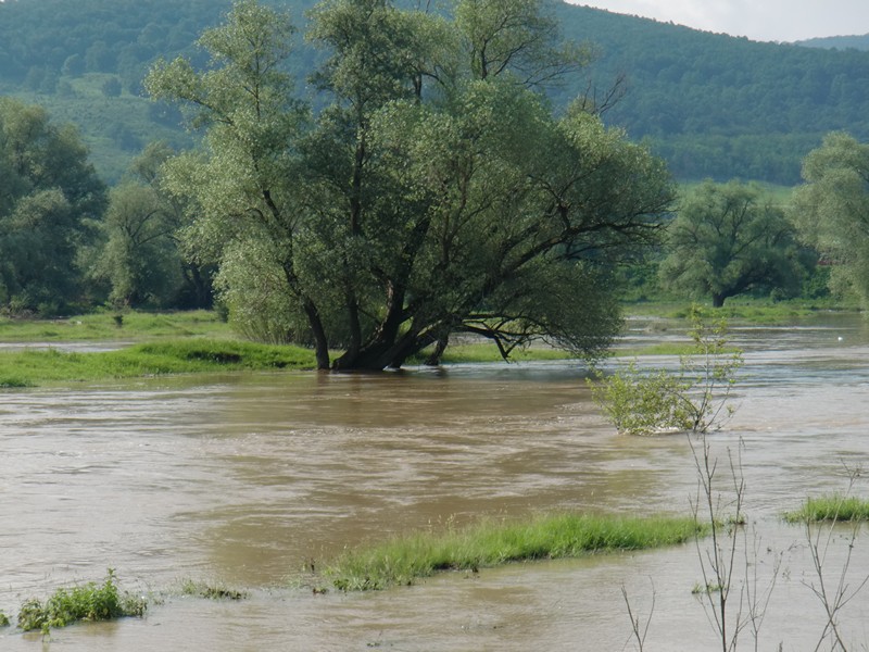 CIMG0653 Nera River flooded Romanian border