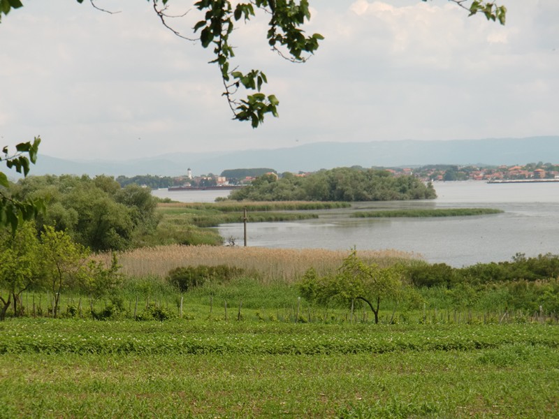 CIMG0669 View of Danube Pojejena