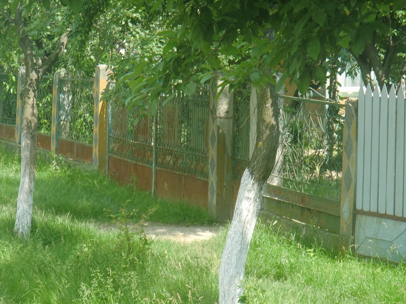 CIMG0939 Perii Brosteni - fences