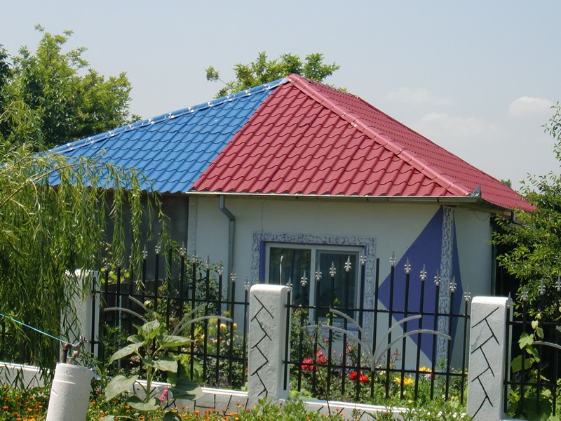 CIMG1380 House in Valea Nucarilor