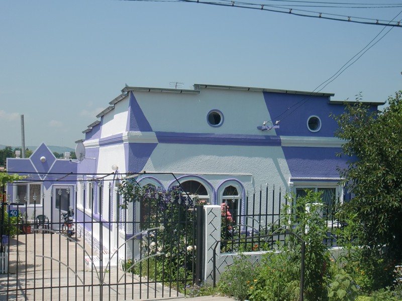 CIMG1381 House in Valea Nucarilor