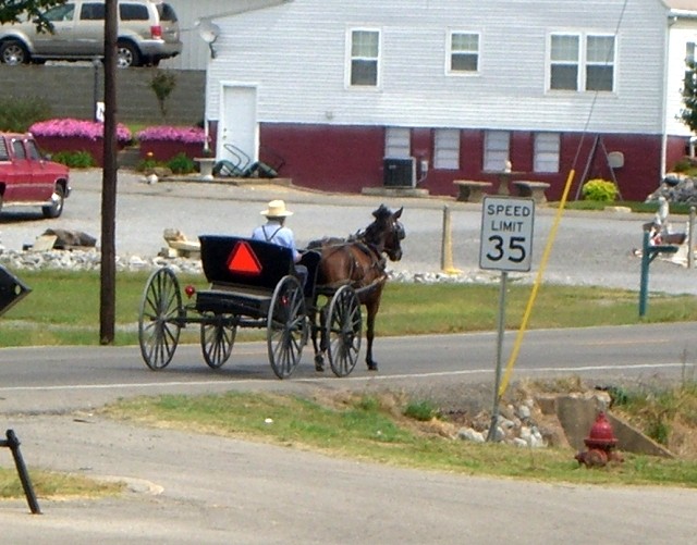 CIMG1518 Amish