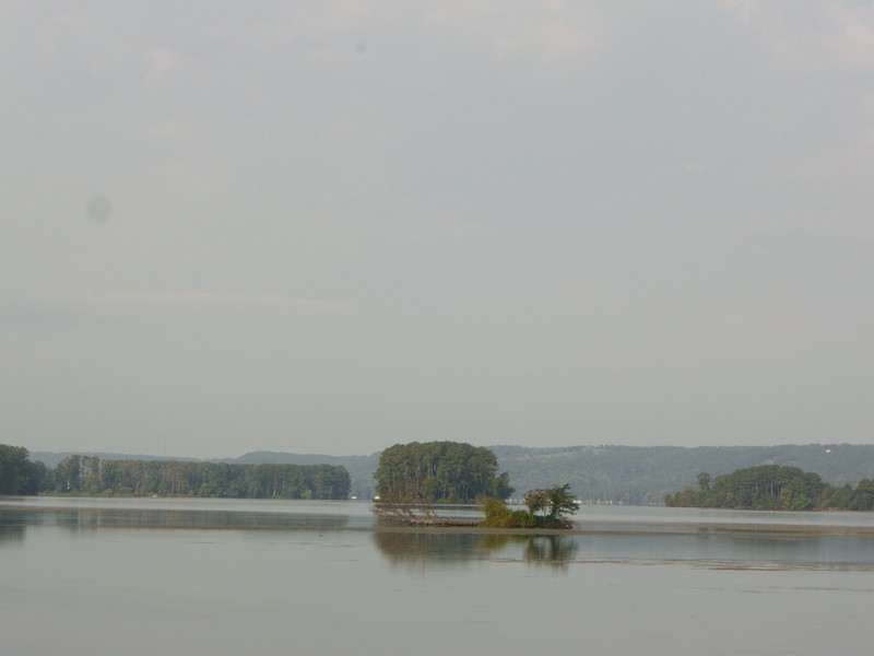 CIMG1609 Island in TN River